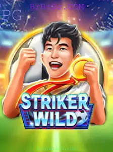 Explorando o Universo de StrikerWILD: Um Guia Completo